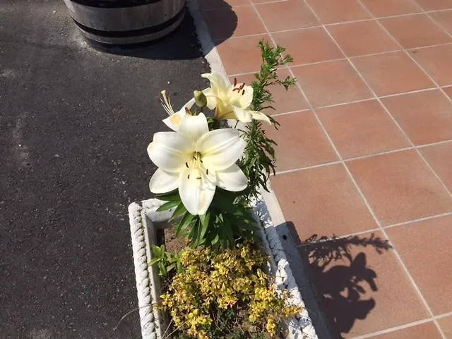 Los Toreros Del Trabancos Hotel